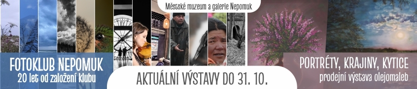 Výstavy v muzeu