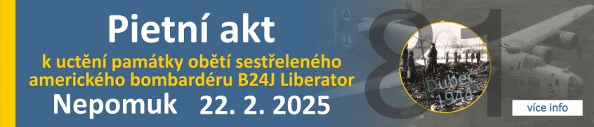 Liberator 81