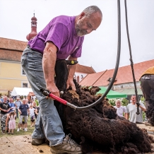 Pivní a Ovčácké slavnosti 2024