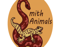 Smith Animals - Naučné programy pro děti a mladistvé a další